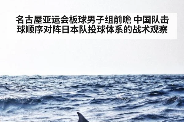 名古屋亚运会板球男子组前瞻 中国队击球顺序对阵日本队投球体系的战术观察